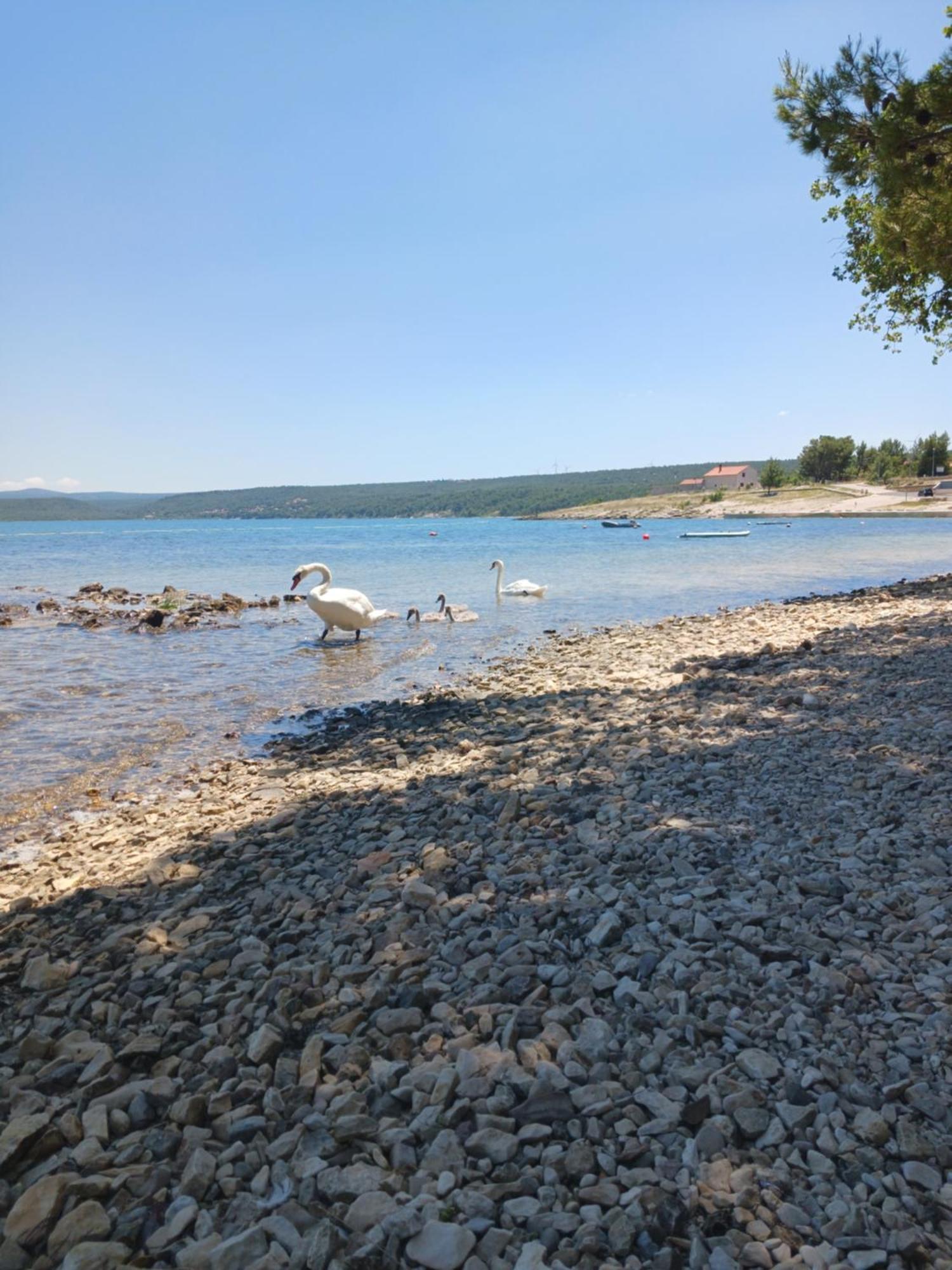 Apartmani Tanja Pridraga Luaran gambar